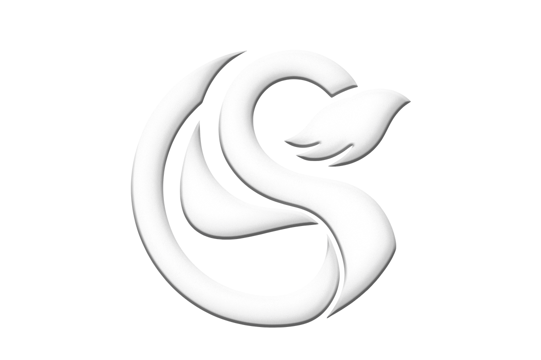 طراحی انواع  لوگو حرفه‌ای در شیراز